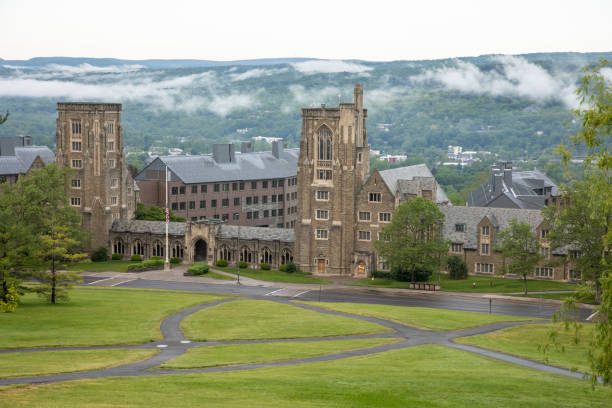 cornell mba